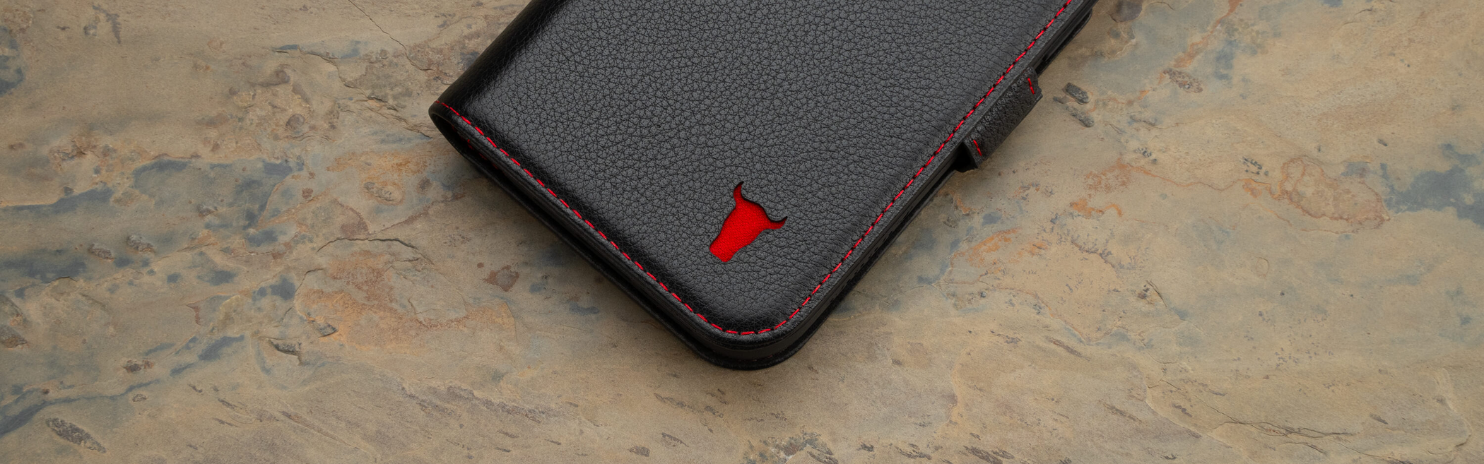 Coques iPhone 12 Pro Max